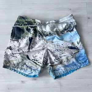 Vilebrequin Massimo Vitali Scenic Blue and Green Swim Trunks